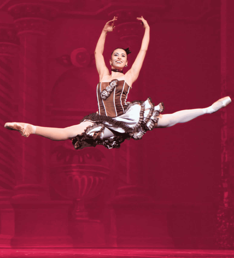 Nutcracker - 800 x 880