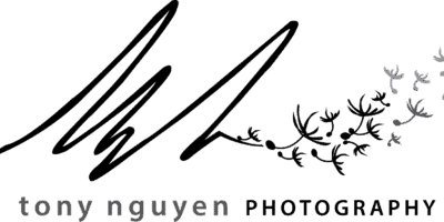 TNPhotograph-FINAL-logo_400x200_acf_cropped